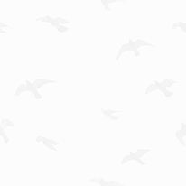 67a6d934e7335.png
