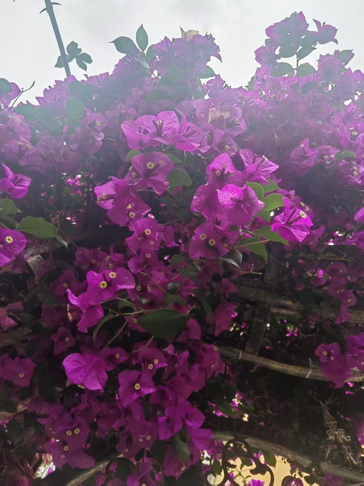 微信图片_20260512125725_5577_95.jpg